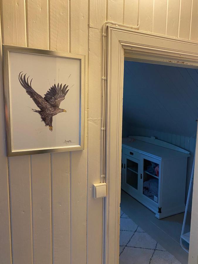 Nordlandshuset "Lottebakken", Ballstad In Lofoten Eksteriør billede