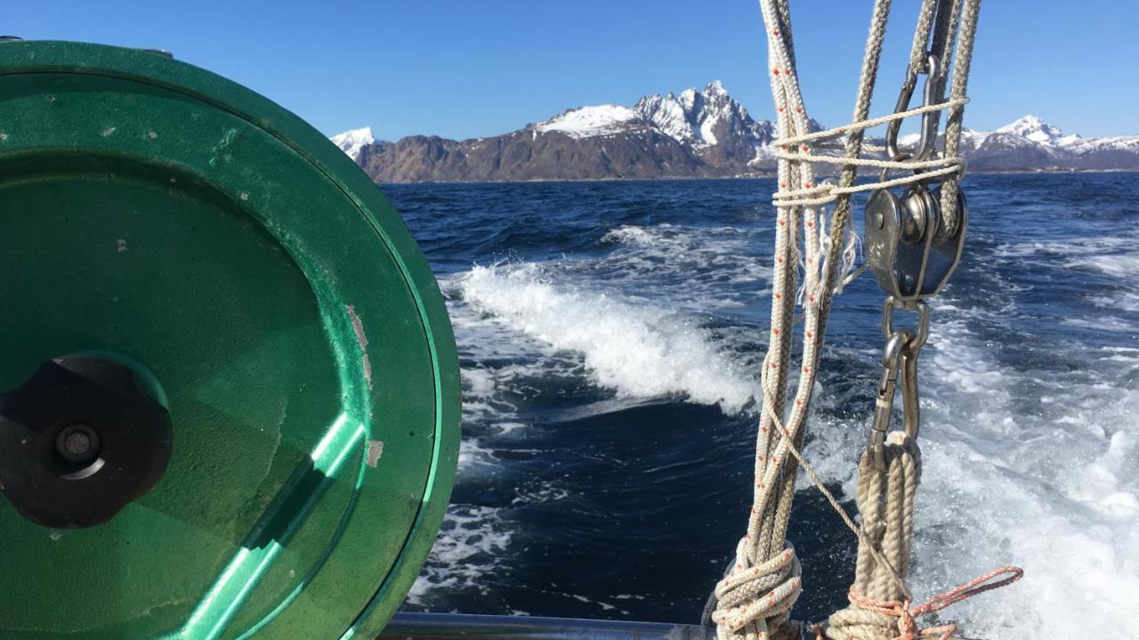 Nordlandshuset "Lottebakken", Ballstad In Lofoten Eksteriør billede