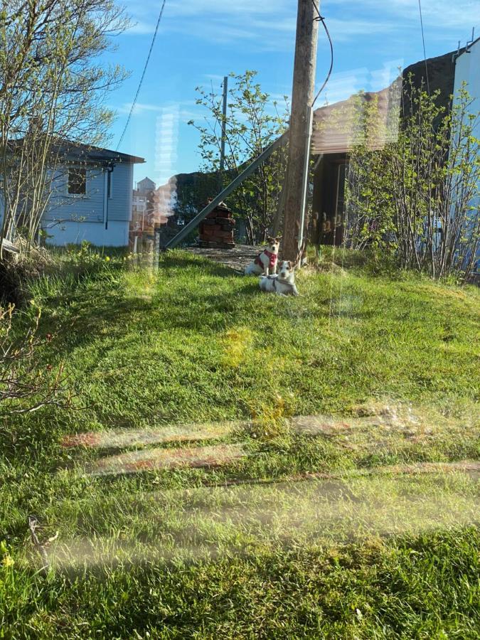 Nordlandshuset "Lottebakken", Ballstad In Lofoten Eksteriør billede