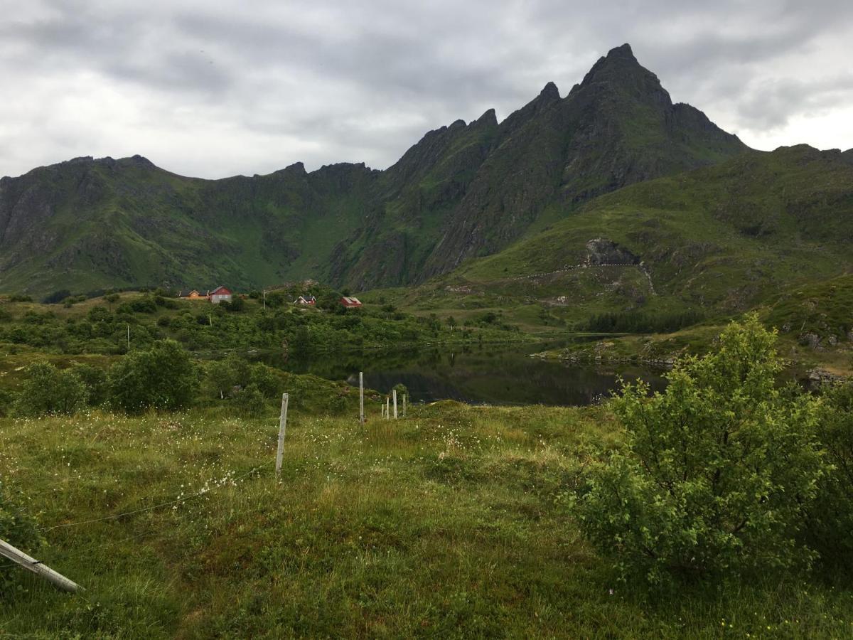Nordlandshuset "Lottebakken", Ballstad In Lofoten Eksteriør billede