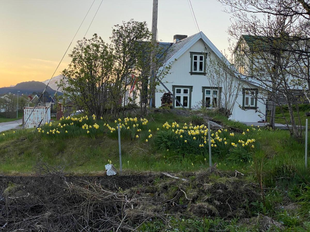 Nordlandshuset "Lottebakken", Ballstad In Lofoten Eksteriør billede